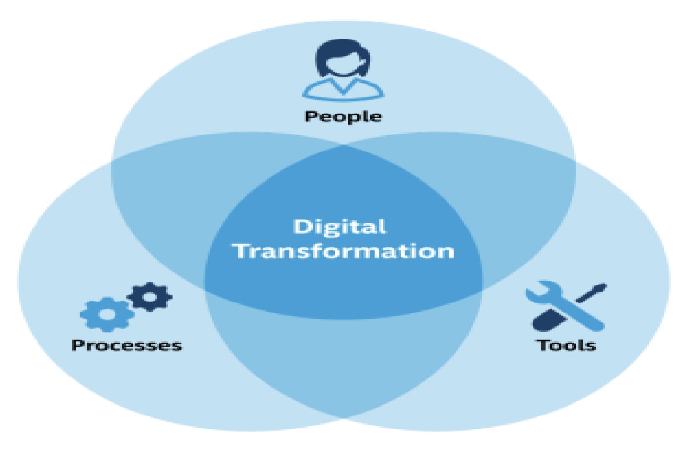 Returns on Digital Investments The McDonald Group Inc